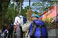 2011-12-18 10-51-37往奉天岩途中.JPG